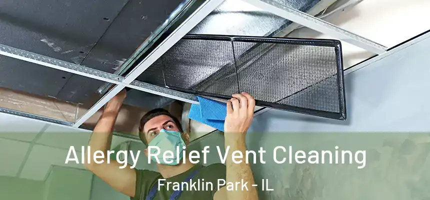  Allergy Relief Vent Cleaning Franklin Park - IL