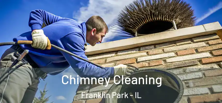  Chimney Cleaning Franklin Park - IL