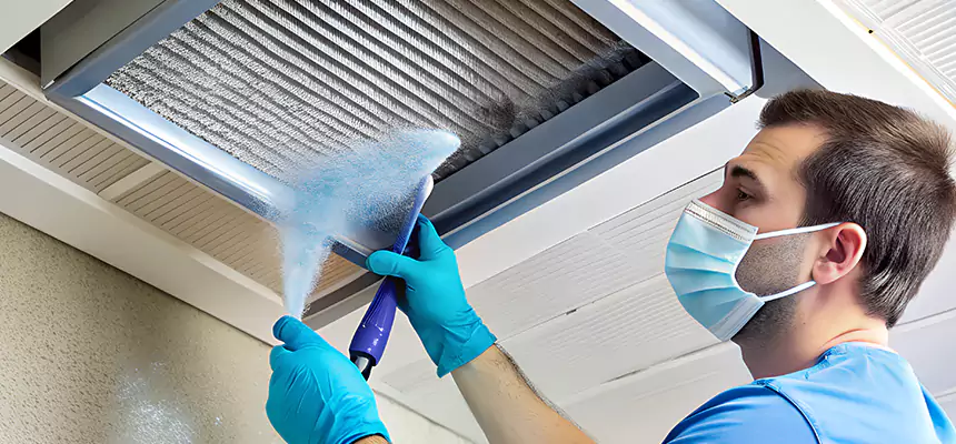 Proactive Dryer Vent & Auxiliary Duct Pollen Cleanup in Franklin Park, IL