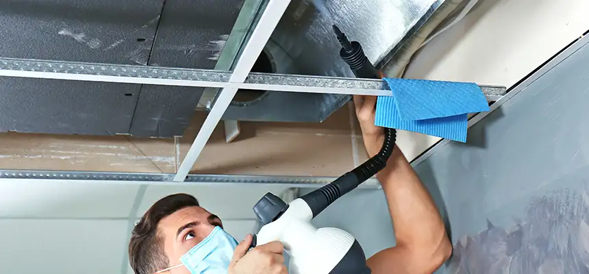 Our Air Duct Rodent Removal Services in Franklin Park, IL