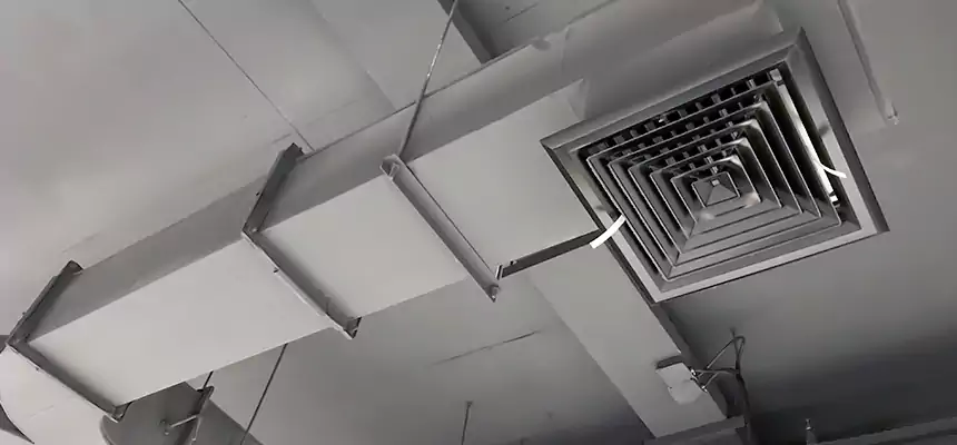 Restorative Allergy Relief Vent Cleaning – Coil, Blower & Housing Detail in Franklin Park