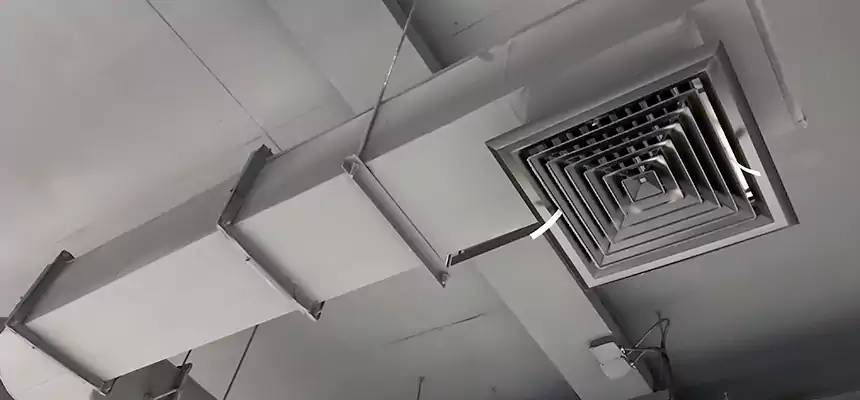 Our Pest Removal From Ducts Services in Franklin Park, IL