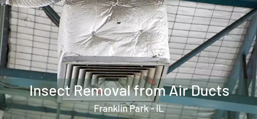  Insect Removal from Air Ducts Franklin Park - IL