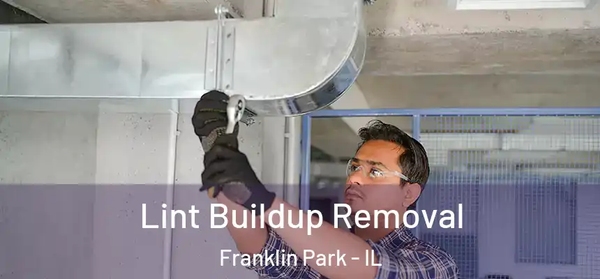  Lint Buildup Removal Franklin Park - IL