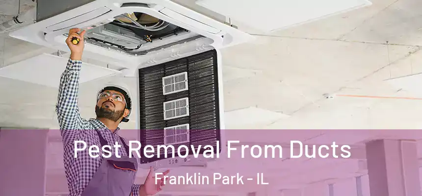  Pest Removal From Ducts Franklin Park - IL