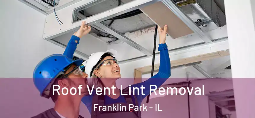  Roof Vent Lint Removal Franklin Park - IL