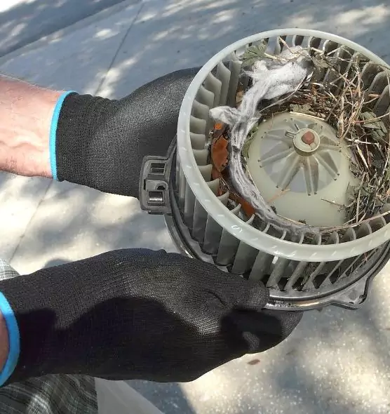 About Air Duct Mice Removal in Franklin Park, IL