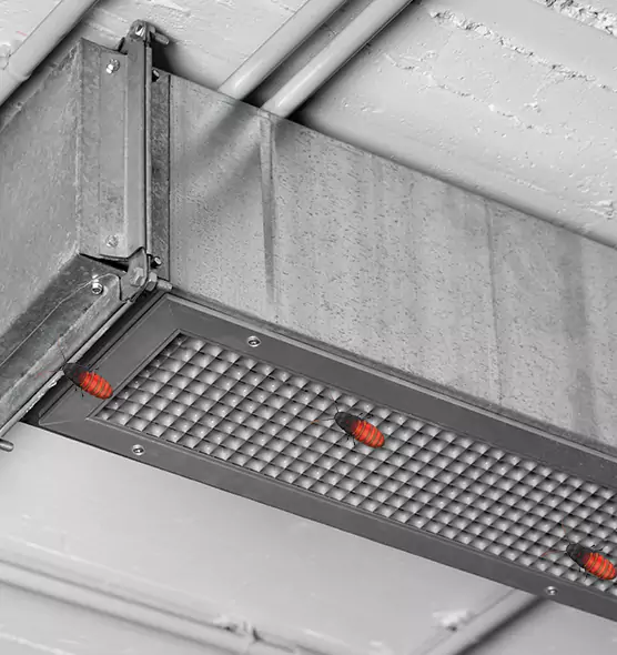 Affordable Insect Removal from Air Ducts in Franklin Park, IL