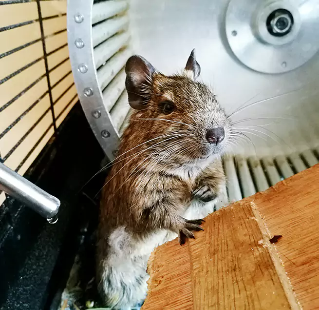 Why Homeowners & Businesses Trust Us Franklin Park, IL?