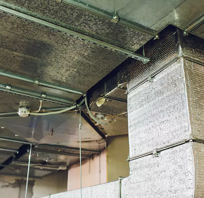 Why Homeowners & Businesses Trust Us in Franklin Park, IL?